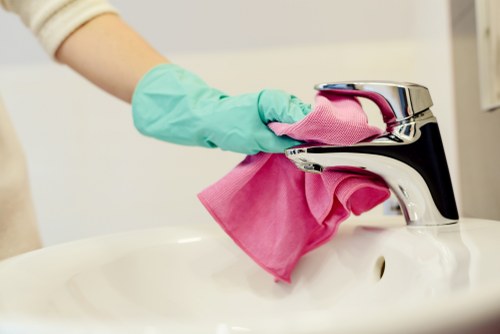 Professional cleaner in Lambeth for home cleaning