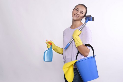 Eco-friendly cleaning service in Lambeth