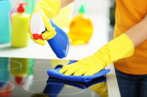 Cleaner handling access and property instructions