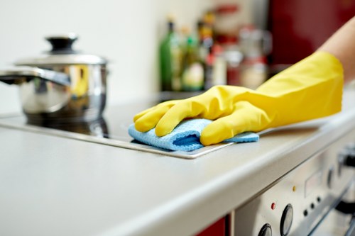 Domestic and office cleaning services in Lambeth
