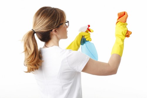 Professional exterior cleaning removing grime from London property facade