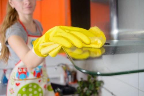 Lambeth cleaning specialists maintaining a fresh and tidy property